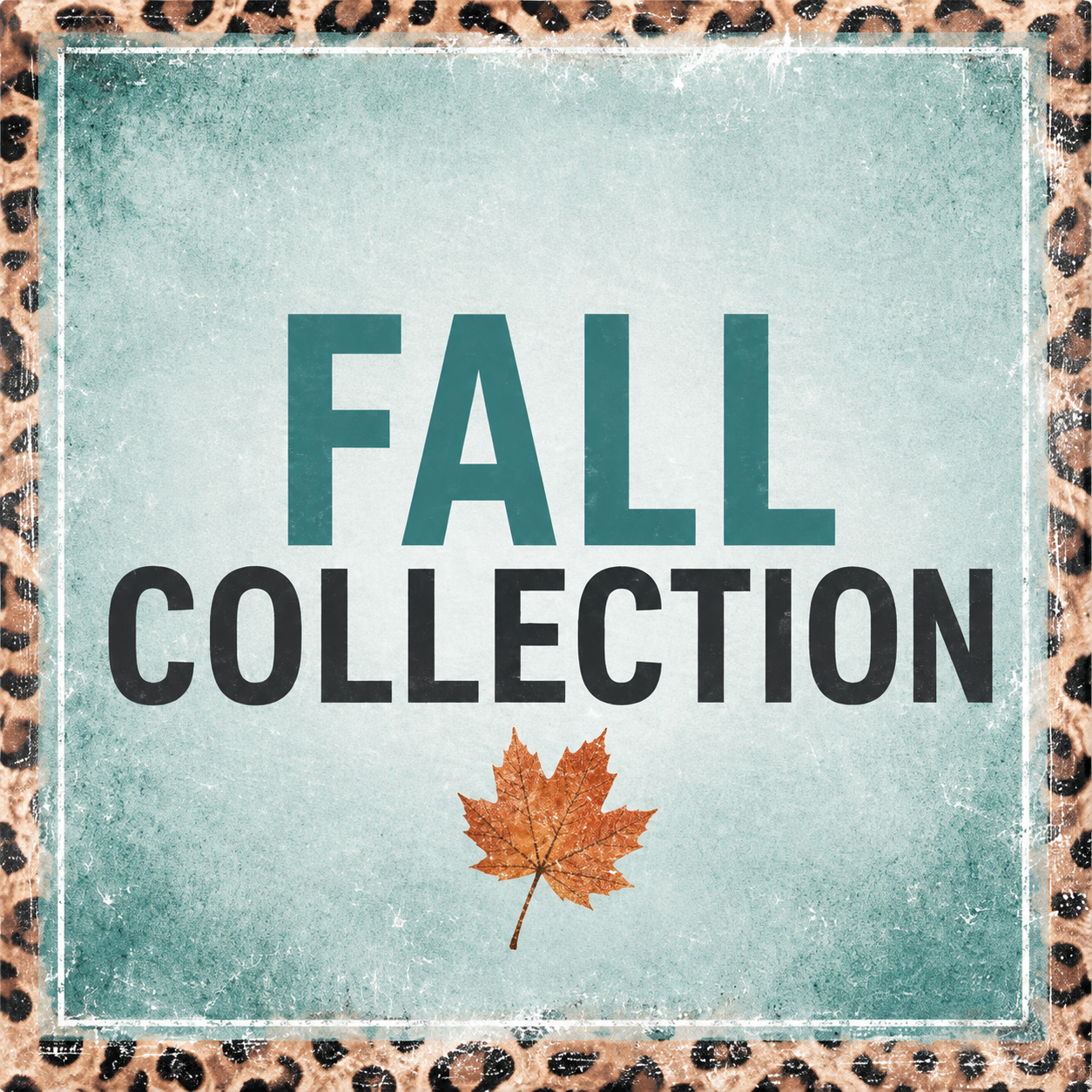 Shop the Collection 🍂